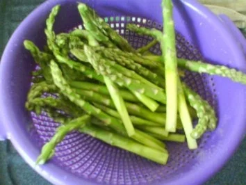 Rezept: Grüner Spargel im Speckmantel mit Balsamico-Senfsoße Bild Nr. 4 Grüner Spargel im Speckmantel mit Balsamico-Senfsoße - Rezept - Bild Nr. 4