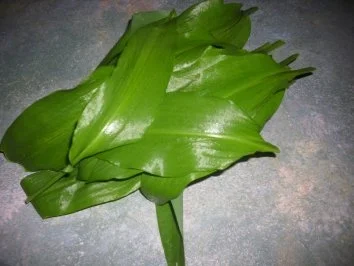 Rezept: Bärlauchsuppe... Bild Nr. 4 Bärlauchsuppe... - Rezept - Bild Nr. 4