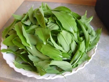 Bärlauchpesto - Rezept - Bild Nr. 2