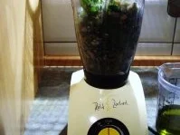 Bärlauchpesto - Rezept - Bild Nr. 4