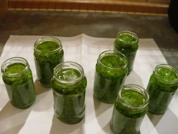 Bärlauchpesto - Rezept - Bild Nr. 5