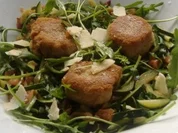 Ziegenkäsetaler mit Zucchini und Bacon auf Rucola - Rezept