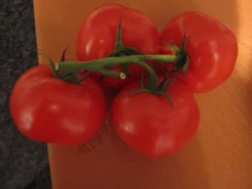 Tomaten-Mozzarella-Salat - Rezept - Bild Nr. 3