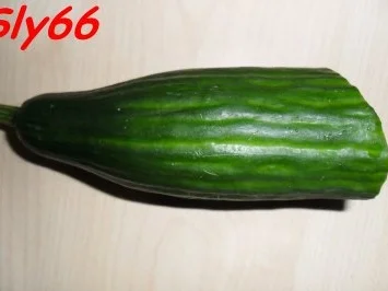 Toast:Mit Krakauer und Gemüse - Rezept - Bild Nr. 3