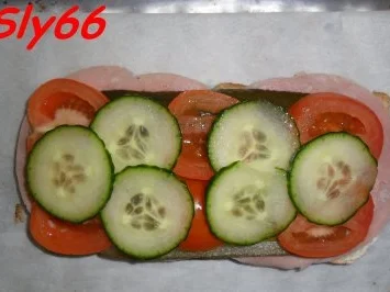 Toast:Mit Krakauer und Gemüse - Rezept - Bild Nr. 11