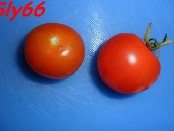 Toast:Mit Krakauer und Gemüse - Rezept - Bild Nr. 2