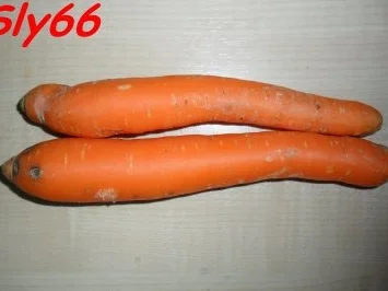 Soßen:Gemüse-Tomatensoße mit Thunfisch - Rezept - Bild Nr. 4