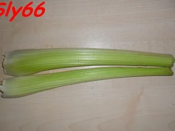 Soßen:Gemüse-Tomatensoße mit Thunfisch - Rezept - Bild Nr. 5