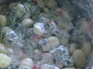 Gnocchi mit Tomaten-Rucola-Frischkäse-Sauce - Rezept