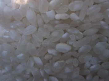 Vanillemilchreis - Rezept - Bild Nr. 3