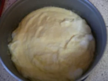 Rezept: Käse-Kirsch-Kuchenzwerg Bild Nr. 7 Käse-Kirsch-Kuchenzwerg - Rezept - Bild Nr. 7