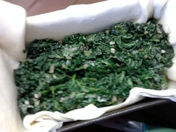 Rezept: Lachs-Spinat-Kuchen Bild Nr. 8 Lachs-Spinat-Kuchen - Rezept - Bild Nr. 8