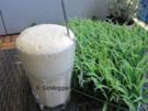 Eiskaffee - Rezept
