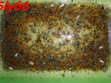 Fleischgerichte:Koteletts mit Erbsenreis und Fisolen - Rezept - Bild Nr. 6