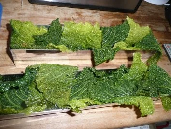 TERRINE/WILD - Rezept - Bild Nr. 4