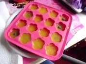 Fruchtige Eiswürfel - Rezept