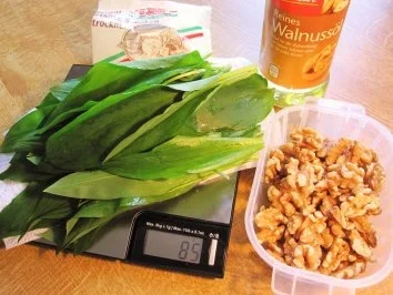 Bärlauchpesto mit Walnüssen - Rezept - Bild Nr. 2