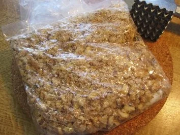 Bärlauchpesto mit Walnüssen - Rezept - Bild Nr. 3