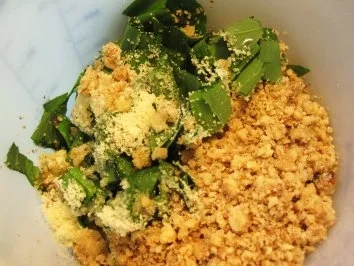 Bärlauchpesto mit Walnüssen - Rezept - Bild Nr. 4