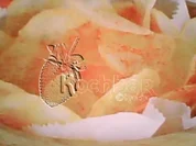 Kartoffelchips mit Paprika - Rezept