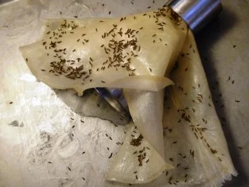 N U D E L A U F L A U F - MARCOS - Rezept - Bild Nr. 6