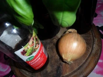 Schokoladetomaten-Salat - Rezept - Bild Nr. 5