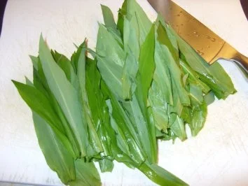 E: Bärlauchspätzle - Rezept - Bild Nr. 2