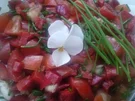 Tomaten-Paprika-Salat - Rezept