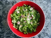 Rezept: FELDSALAT mit Kartoffeldressing mmmmhhhhh FELDSALAT mit Kartoffeldressing mmmmhhhhh - Rezept