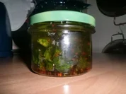 Rezept: Bärlauch-Pfeffer Öl Bärlauch-Pfeffer Öl - Rezept