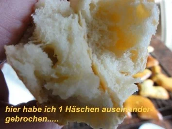 Hefe:    VANILLE- HÄSCHEN - Rezept - Bild Nr. 2