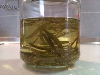 Rezept: Rosmarin Öl Bild Nr. 2 Rosmarin Öl - Rezept - Bild Nr. 2