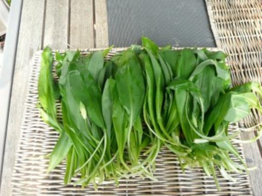 Mia Bread Rezepte Rezepte