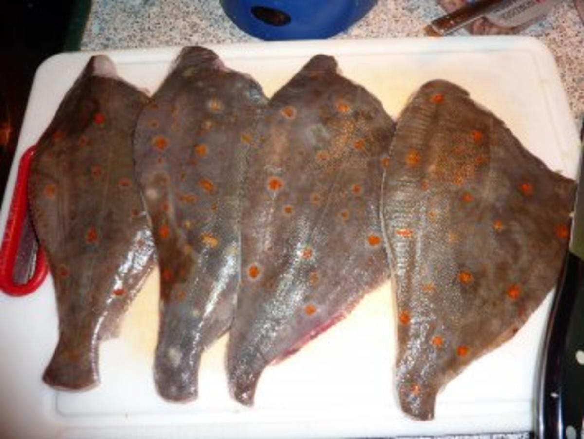 Fisch: Scholle gebraten mit Krabbensoße - Rezept - Bild Nr. 2