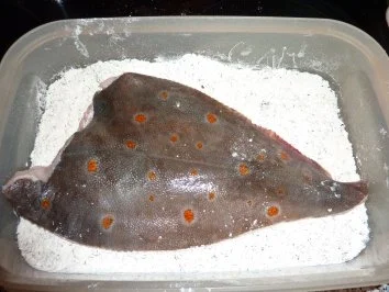 Rezept: Fisch: Scholle gebraten mit Krabbensoße Bild Nr. 3 Fisch: Scholle gebraten mit Krabbensoße - Rezept - Bild Nr. 3