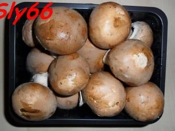 Soßen:Thunfischsoße mit Lauch und Champignon - Rezept - Bild Nr. 11