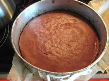 Quark- Zitronen - Torte - Rezept - Bild Nr. 13