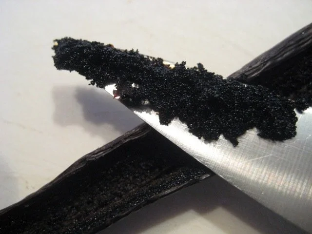 Rezept: Vanillezucker (selbst gemacht) Bild Nr. 5 Vanillezucker (selbst gemacht) - Rezept - Bild Nr. 5