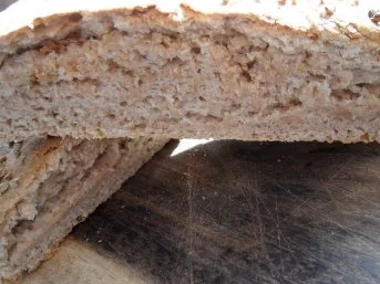 Bauernfladen mit Koriander - Rezept - Bild Nr. 2