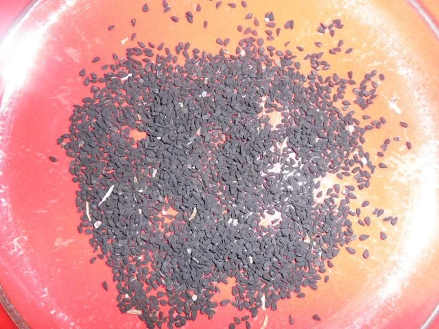 Rezept: Pita-Fladenbrote Bild Nr. 9 Pita-Fladenbrote - Rezept - Bild Nr. 9