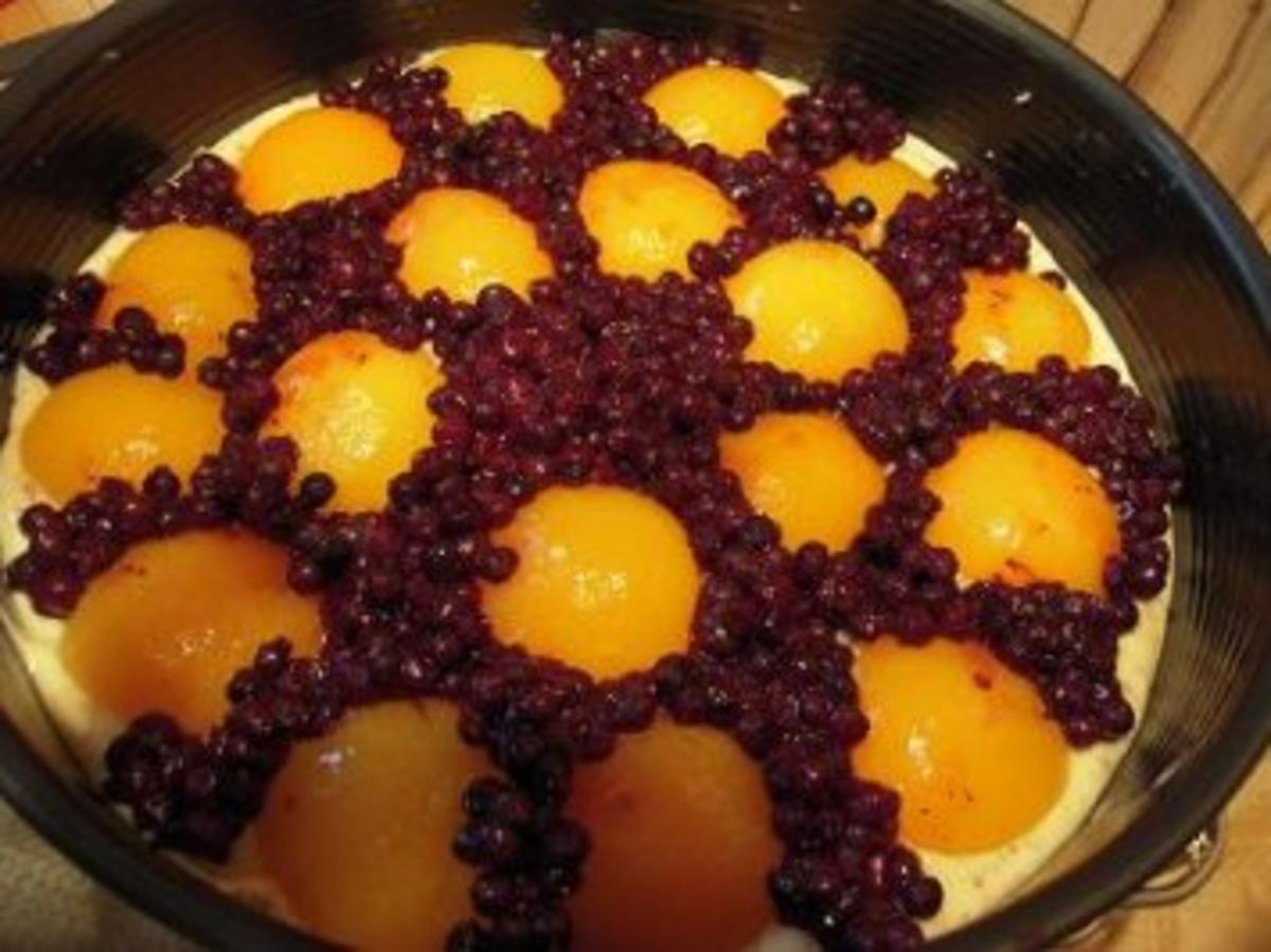 Heidelbeer-Aprikosenkuchen - Rezept - Bild Nr. 3