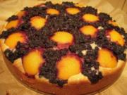 Heidelbeer-Aprikosenkuchen - Rezept