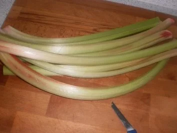 Rezept: Frühlingsgrütze mit süßer Sahne Bild Nr. 3 Frühlingsgrütze mit süßer Sahne - Rezept - Bild Nr. 3