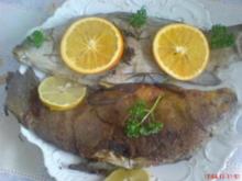 FISCH:.....Schleie in Alufolie gegart - Rezept