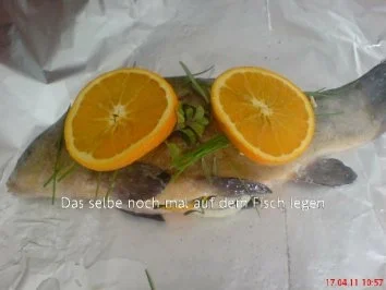 FISCH:.....Schleie in Alufolie gegart - Rezept - Bild Nr. 4