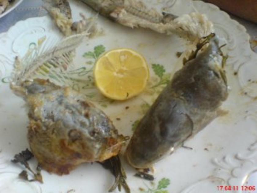 FISCH: Schleie in Alufolie gegart - schnell &amp; einfach - 143 kcal/100g