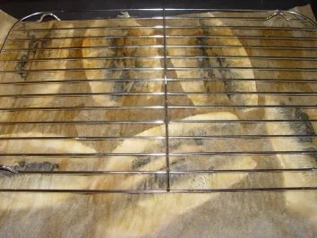 Hering in Aspik - Rezept - Bild Nr. 3