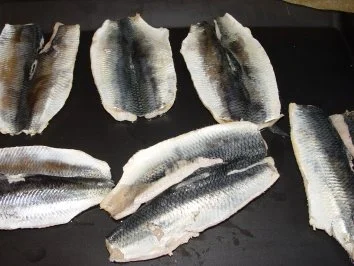 Hering in Aspik - Rezept - Bild Nr. 4