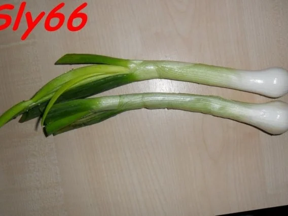 Aufläufe:Crepes-Auflauf mit Hack und Pilzen - Rezept - Bild Nr. 5