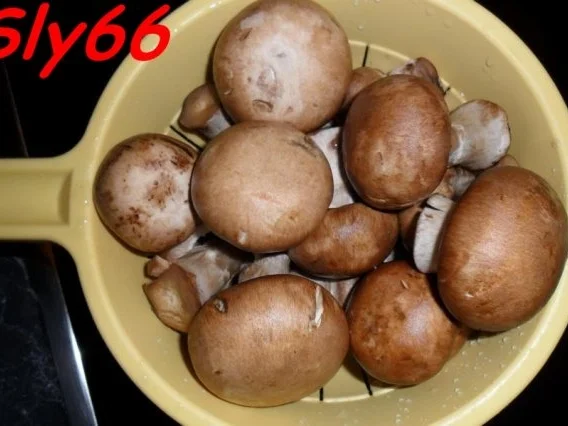 Aufläufe:Crepes-Auflauf mit Hack und Pilzen - Rezept - Bild Nr. 9